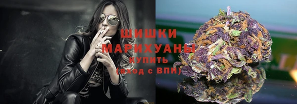 шишки Елабуга