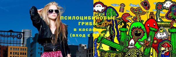 шишки Елабуга