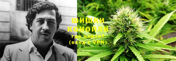 шишки Елабуга